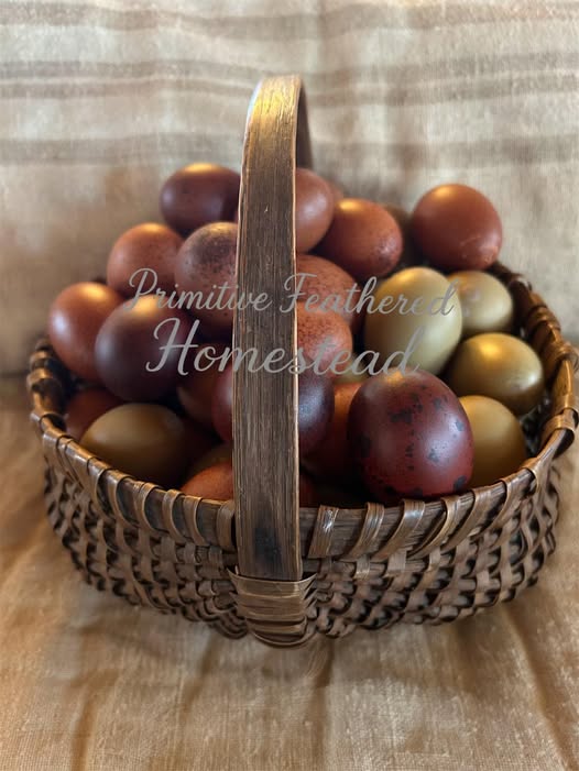 Basket of eggs arranged for a family bundle