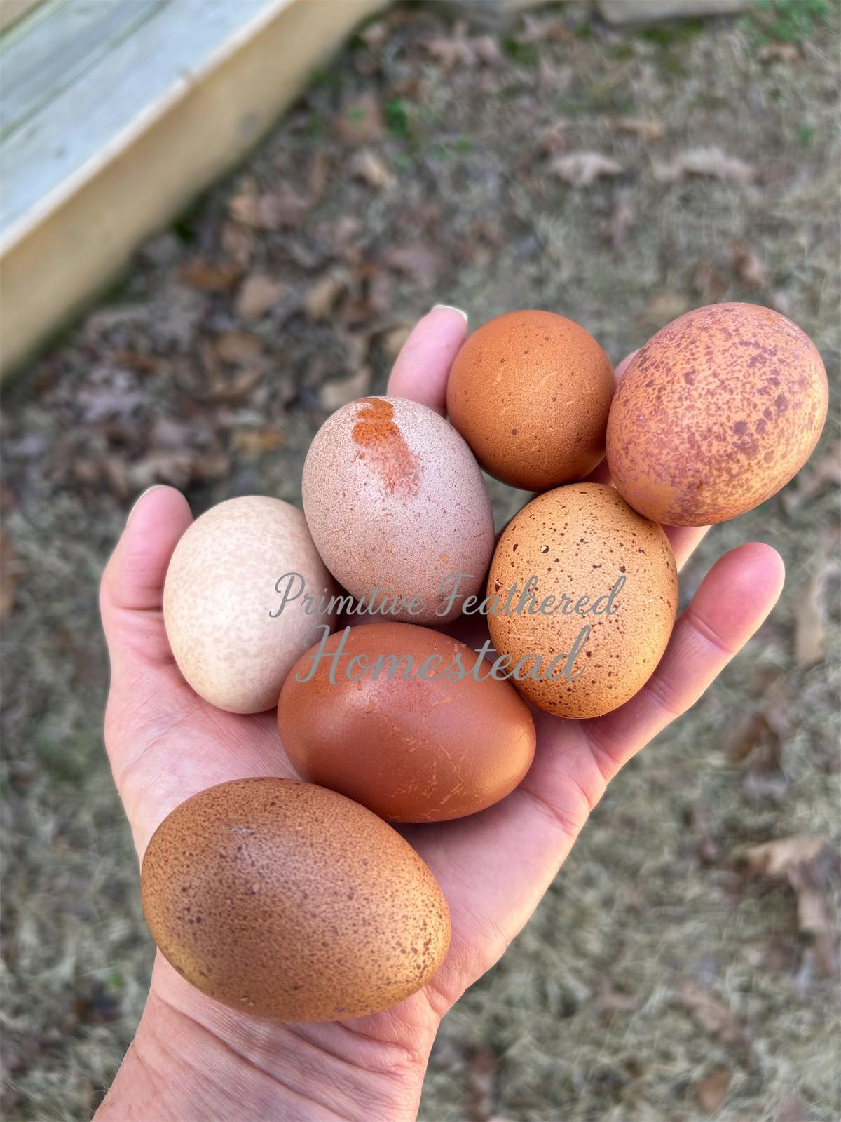Farm fresh eggs in an open carton