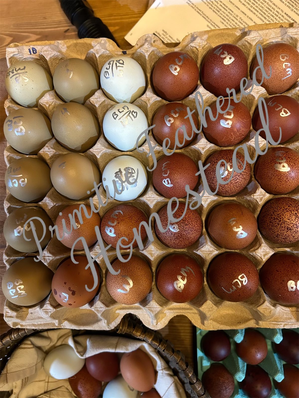 Warm farm landscape at sunset